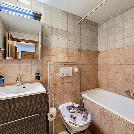 Appartement Tayannes 222